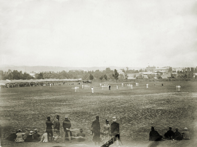 adealide oval cricket